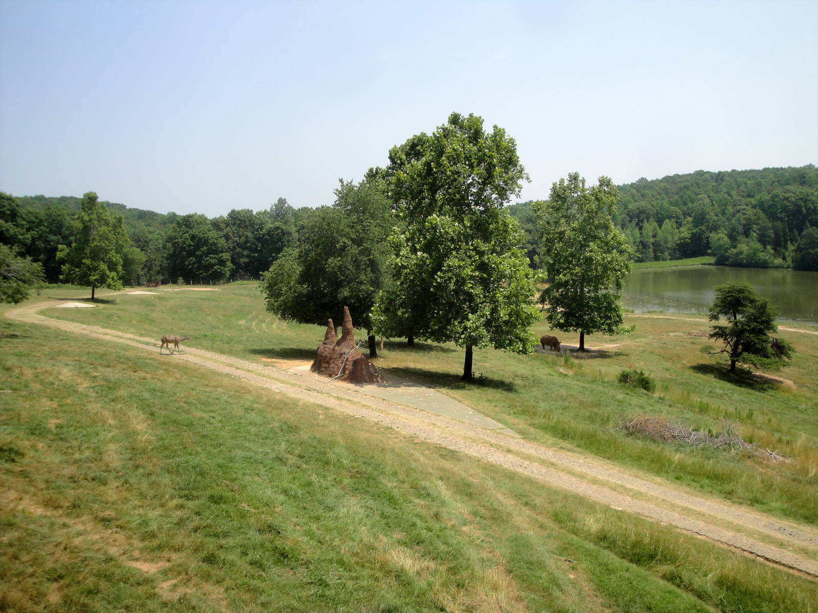 Watani Grasslands Exhibit