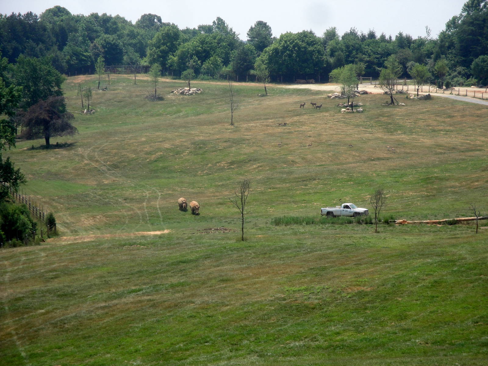 Watani Grasslands Exhibit