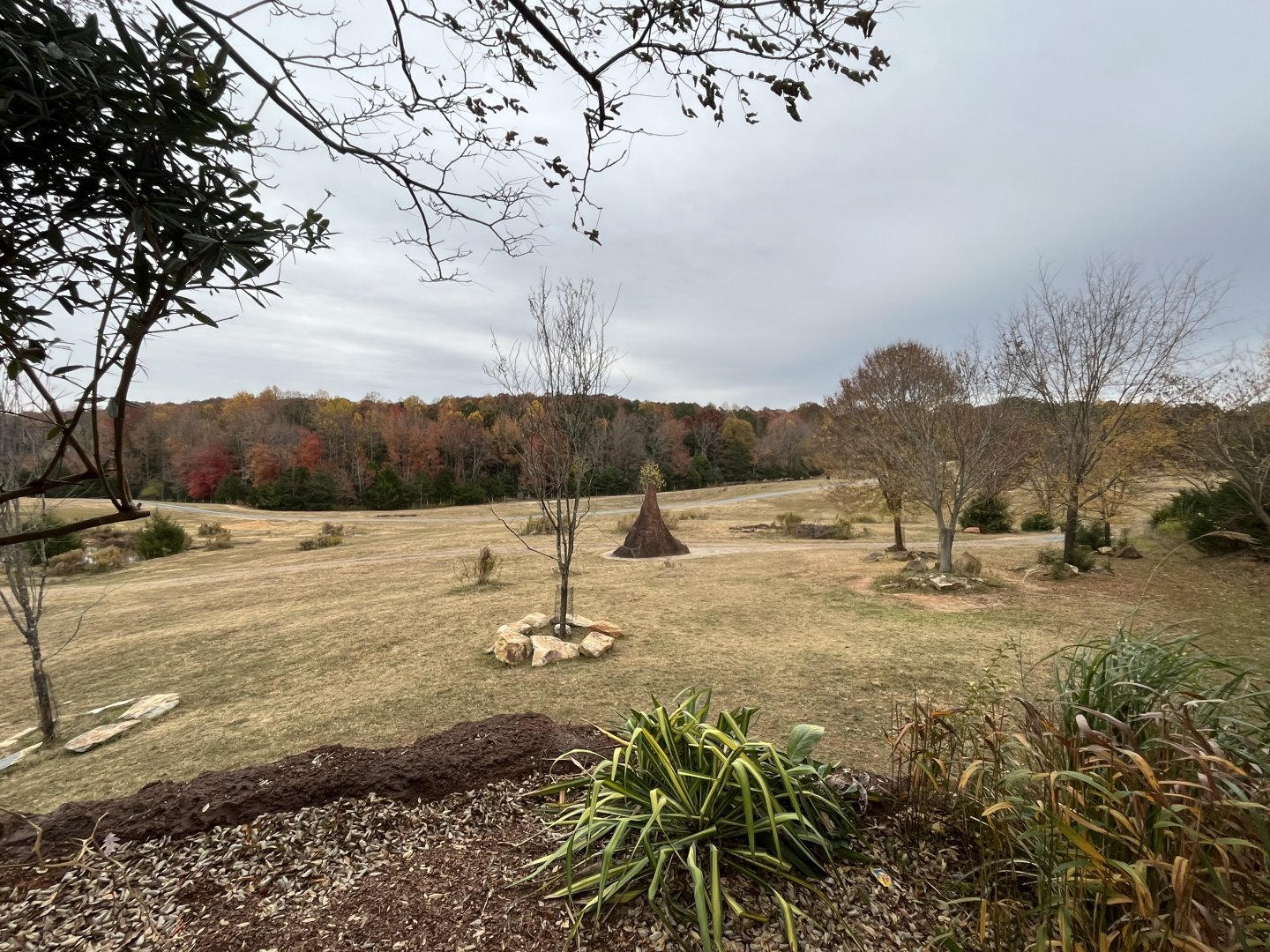 Watani Grasslands in Autumn