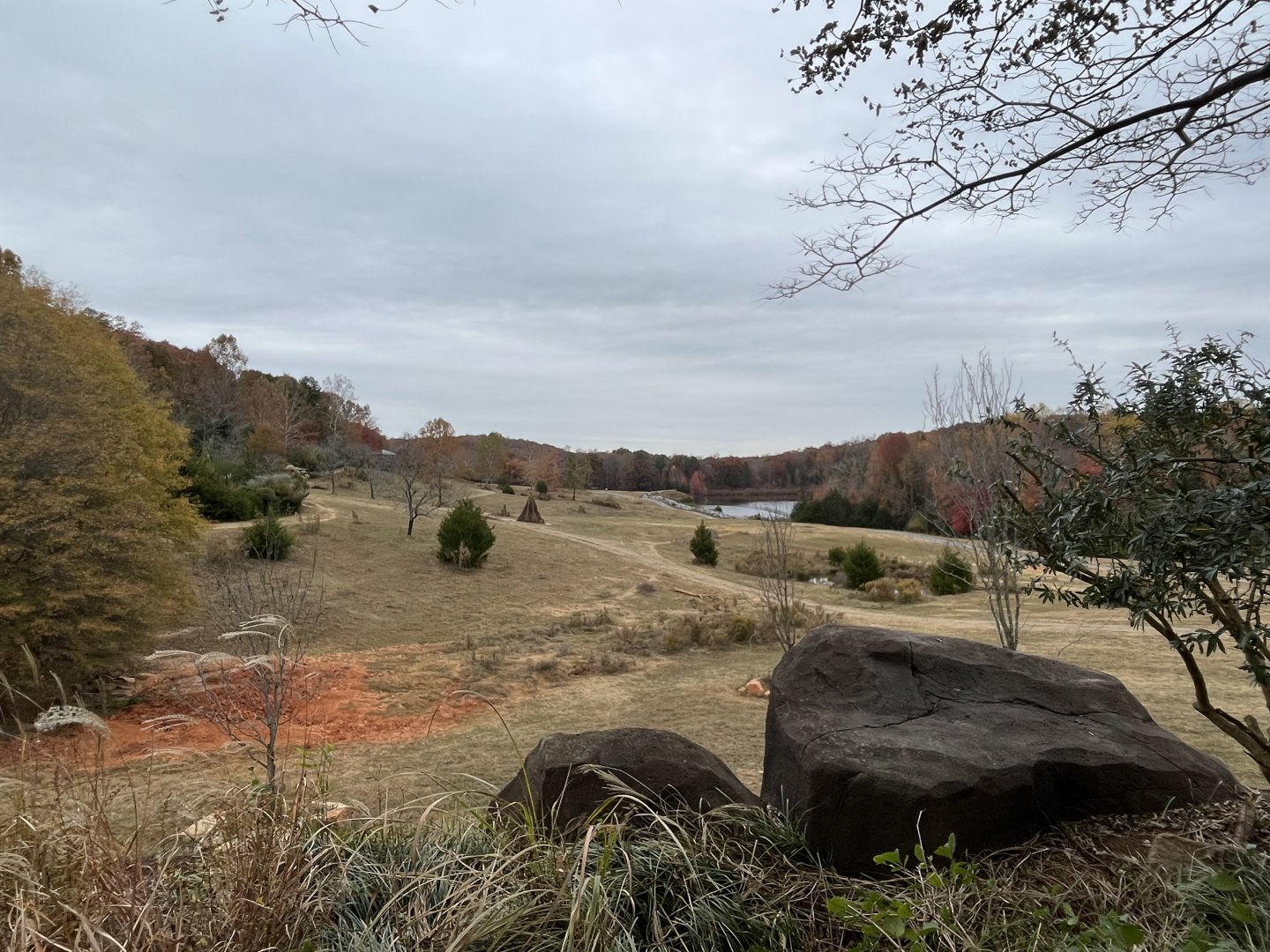 Watani Grasslands in Autumn