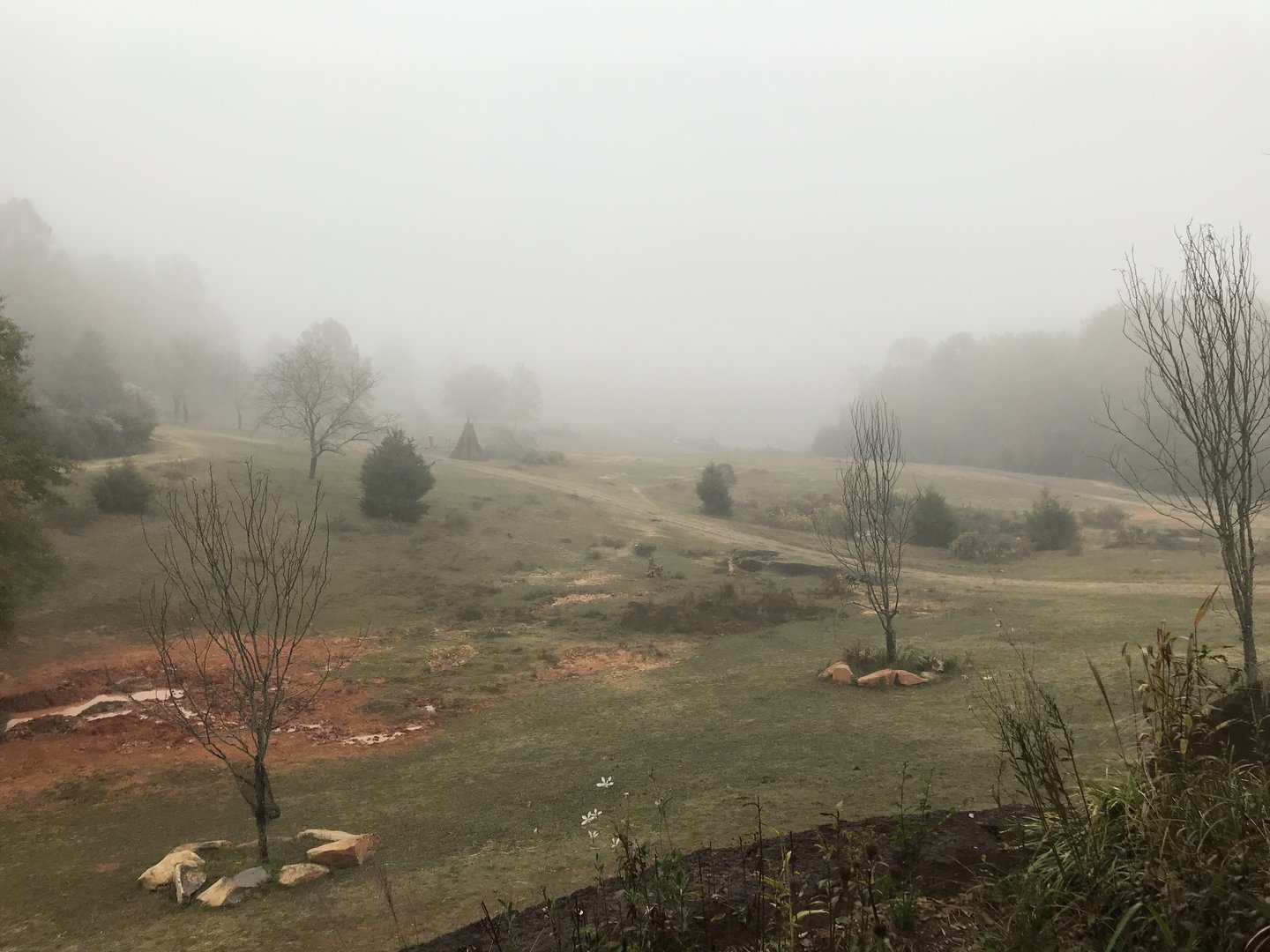Watani Grasslands in the Fog