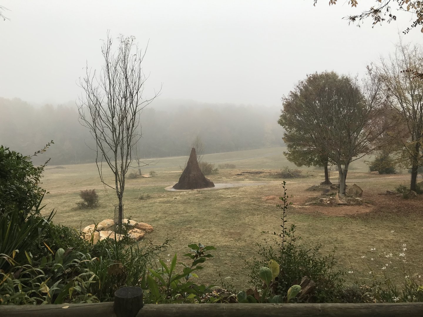 Watani Grasslands in the Fog
