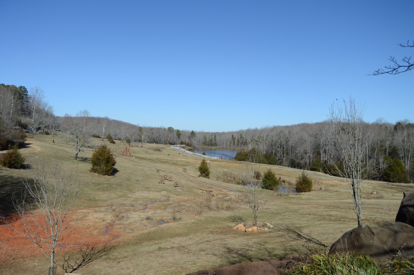 Watani Grasslands in the Winter