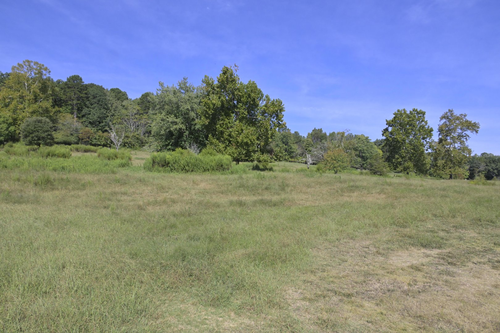 Watani Grasslands Reserve - Landscape