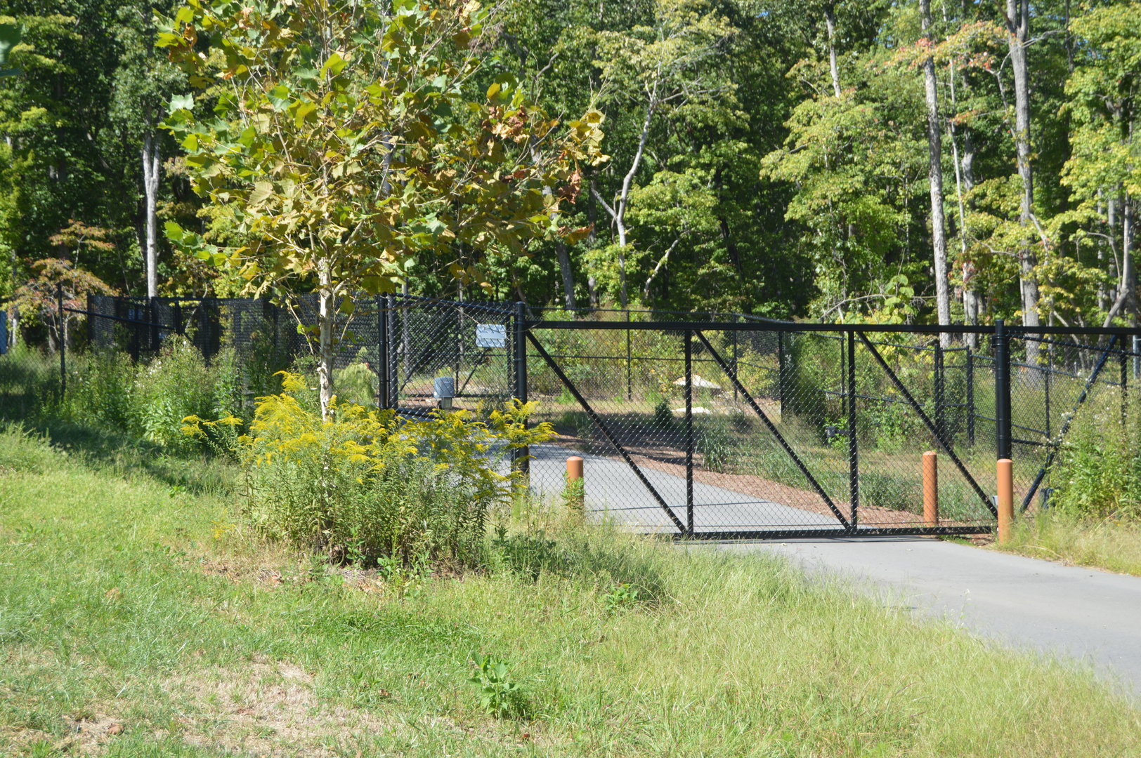 Watani Grasslands Reserve - New Zoofari Gate Lock