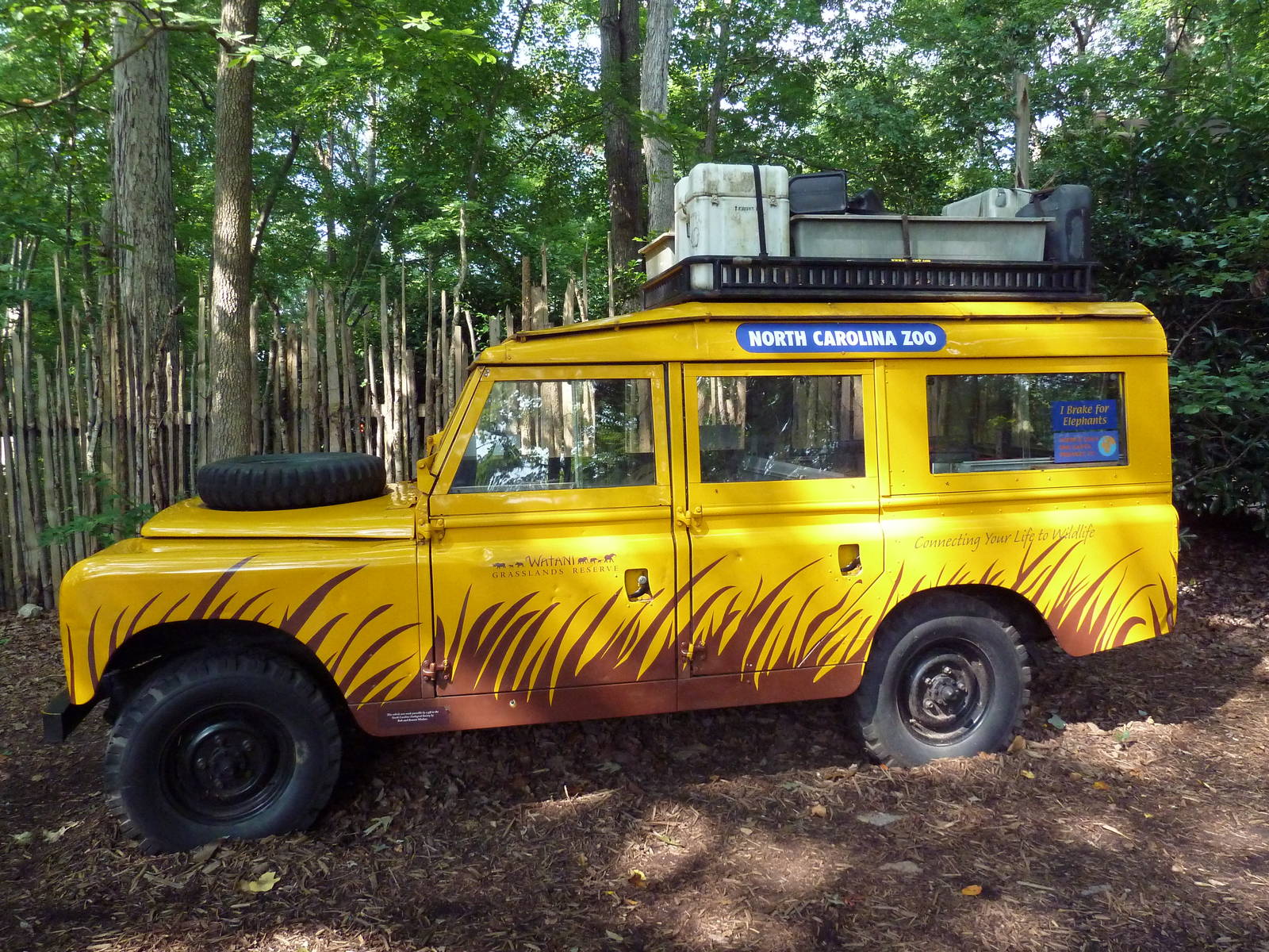 Watani Grasslands Reserve - Safari Jeep