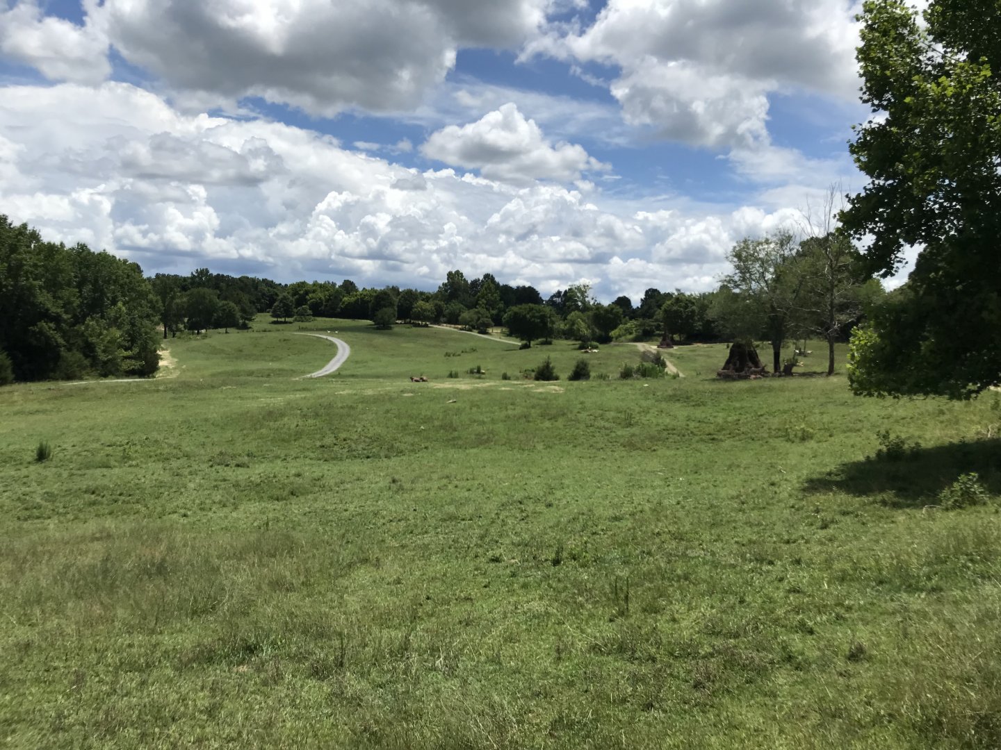 Watani Grasslands seen from Zoofari