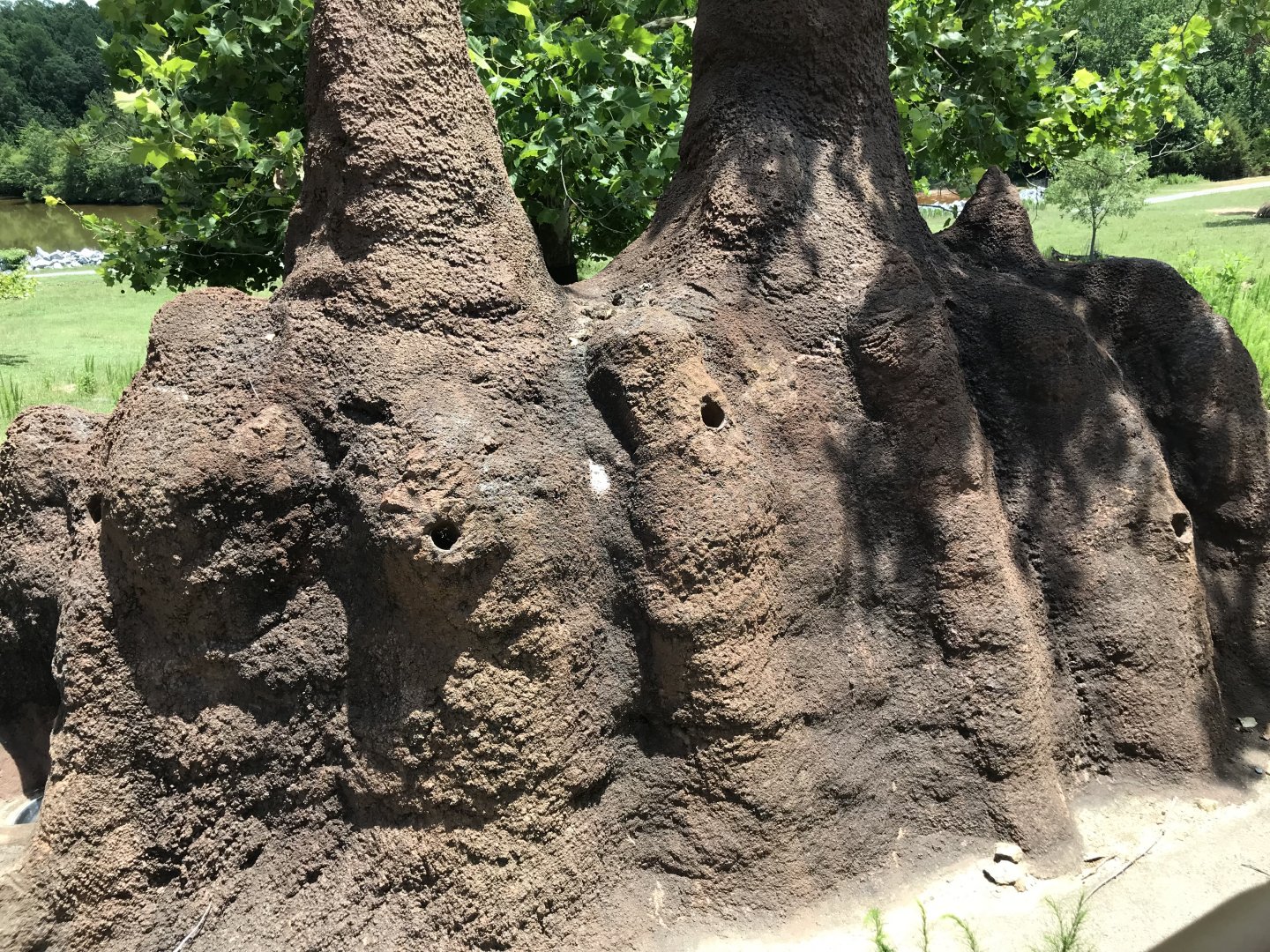 Watani Grasslands Termite Mound Feeder