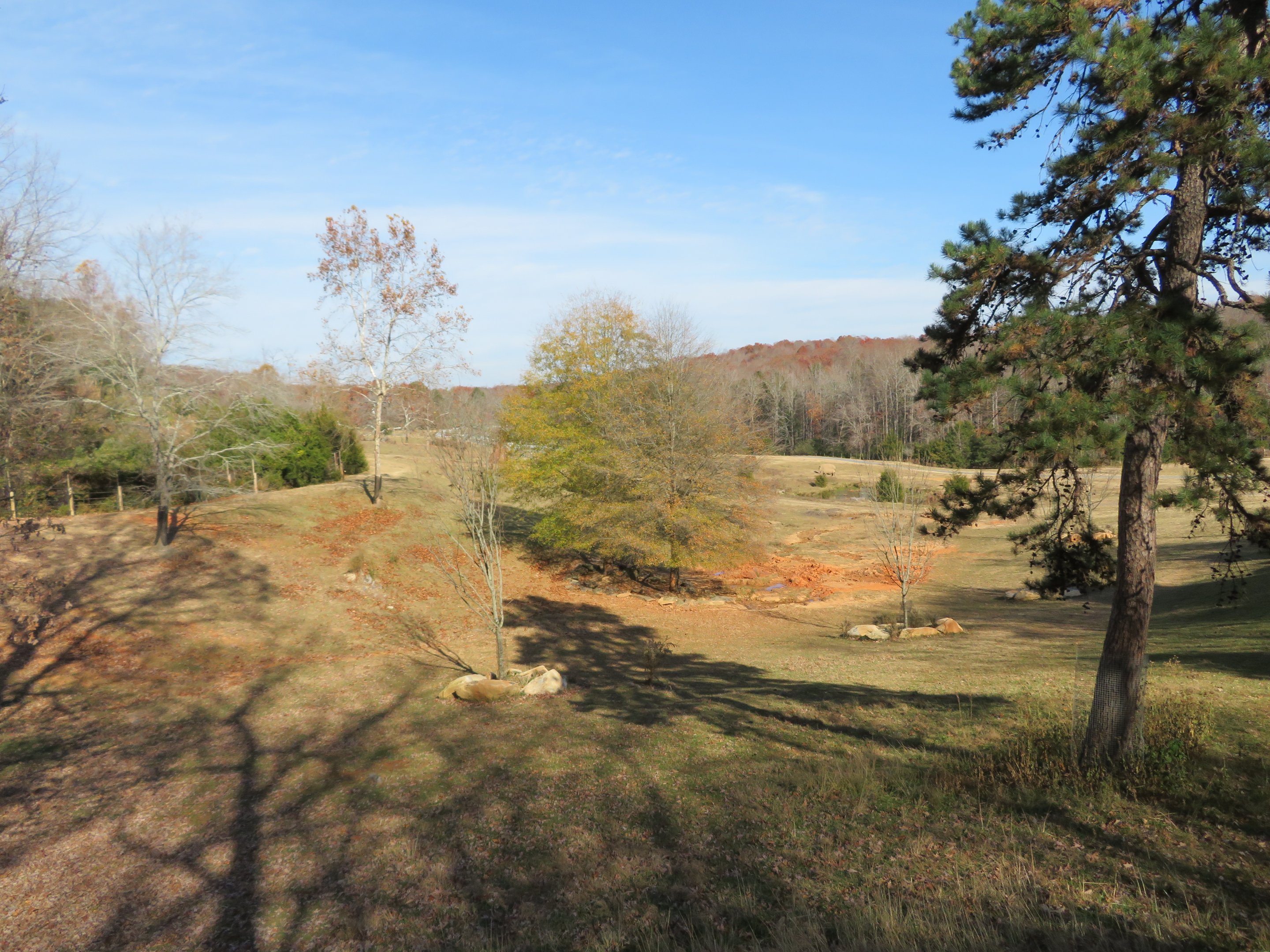 Watani Grasslands Yard