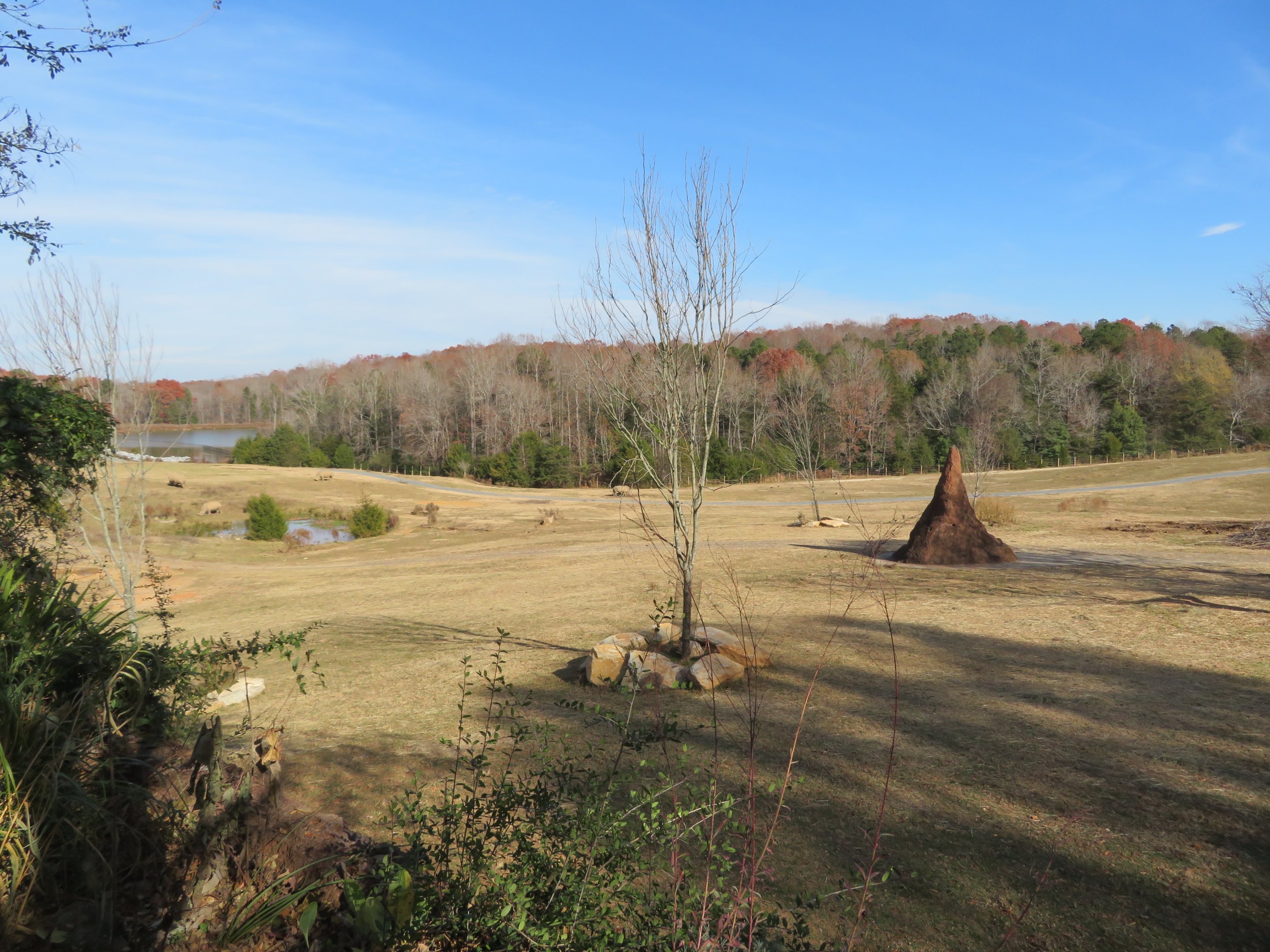 Watani Grasslands Yard