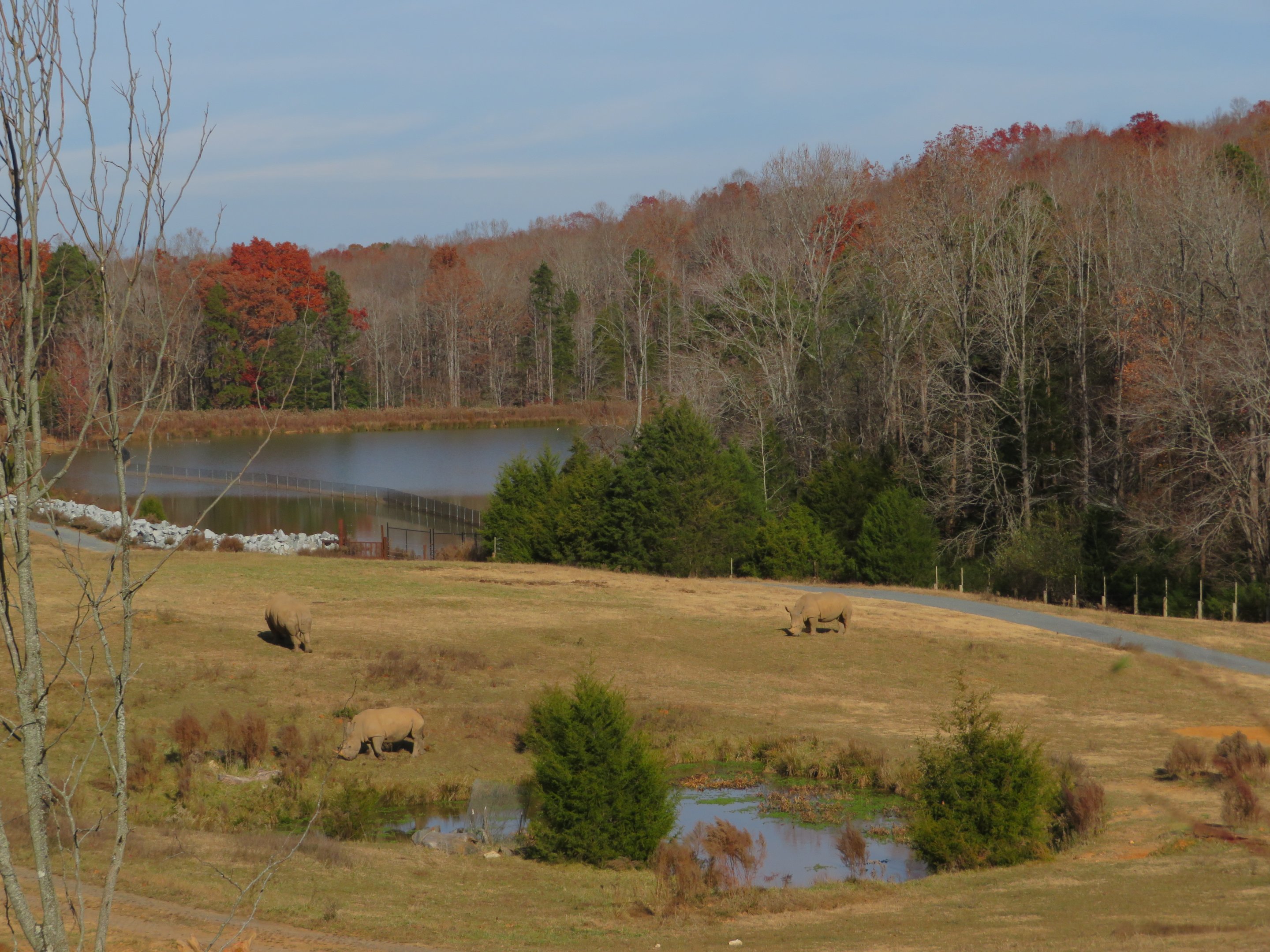 Watani Grasslands Yard