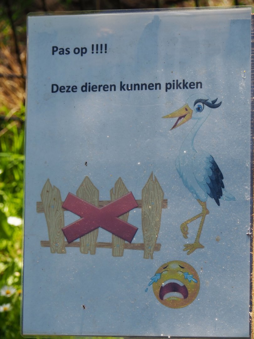 Watch out, these animals can peck sign, 2019-06-01