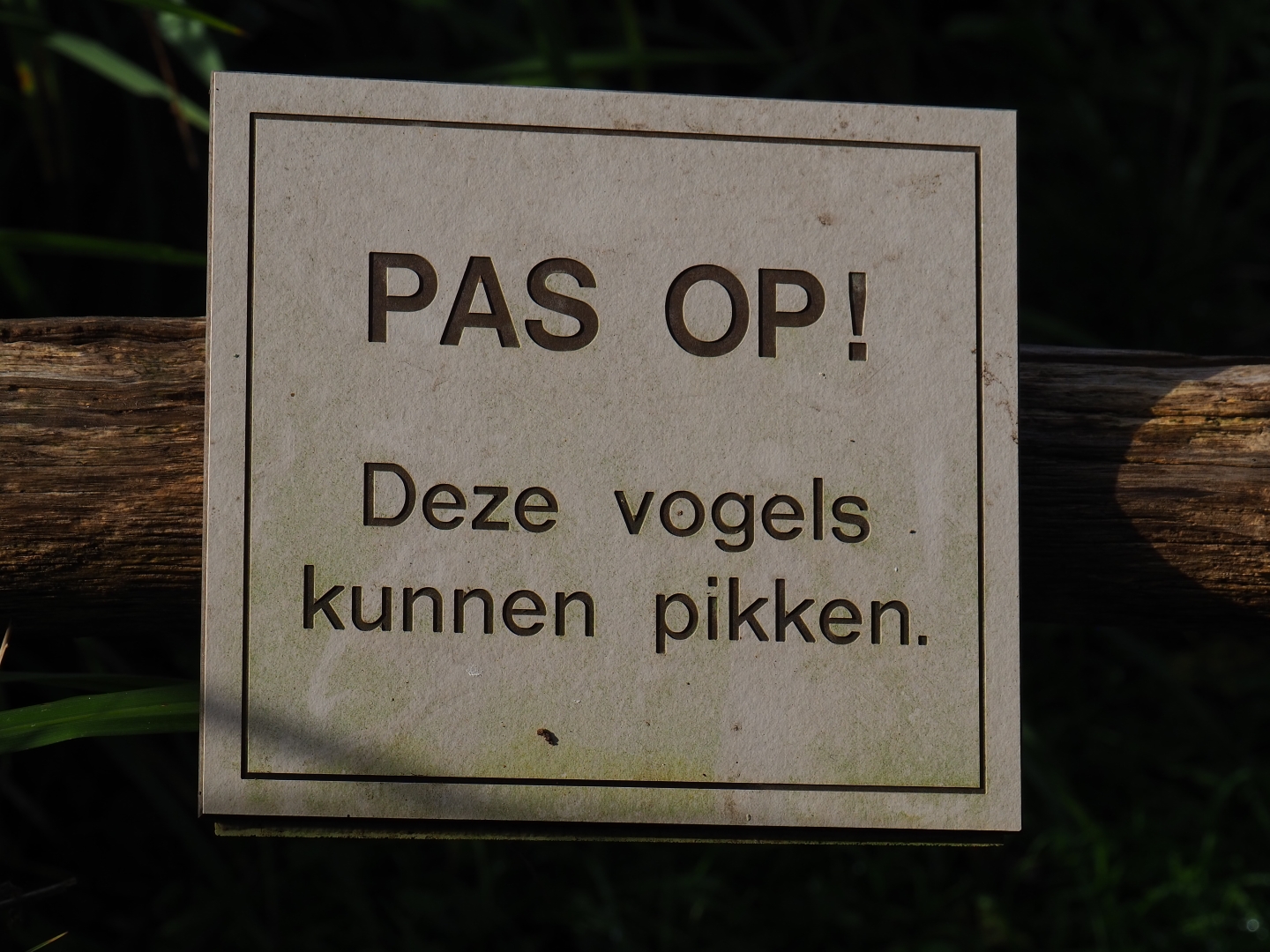 Watch out - These bird can peck sign (Nov 10th, 2018)