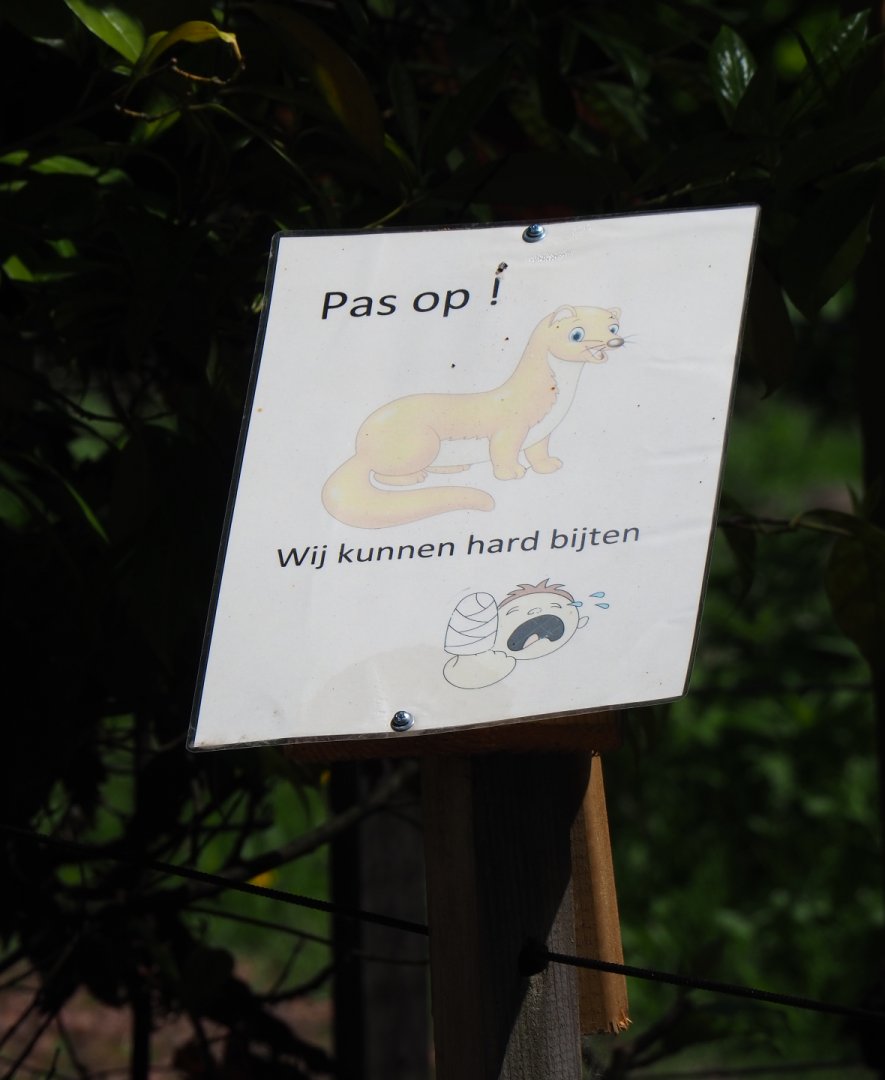 Watch out - We can bit hard sign by Siberian weasel exhibit, 2019-06-01