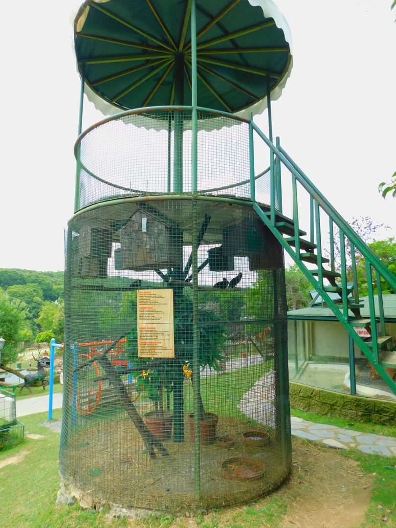 Watch Tower and Hill Myna cage