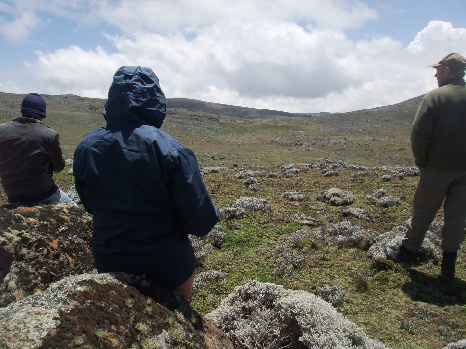 Watching for Wolves, Sanetti Plateau, Bale Mountains NP, 15/10/14