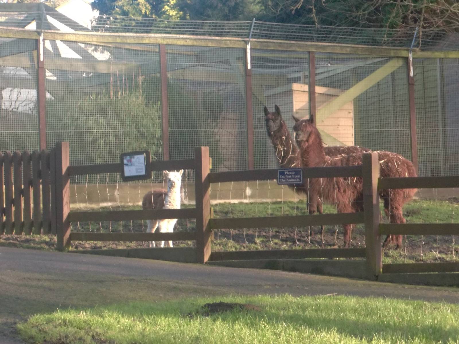 Watching Keeper Ed, 18th January 2015