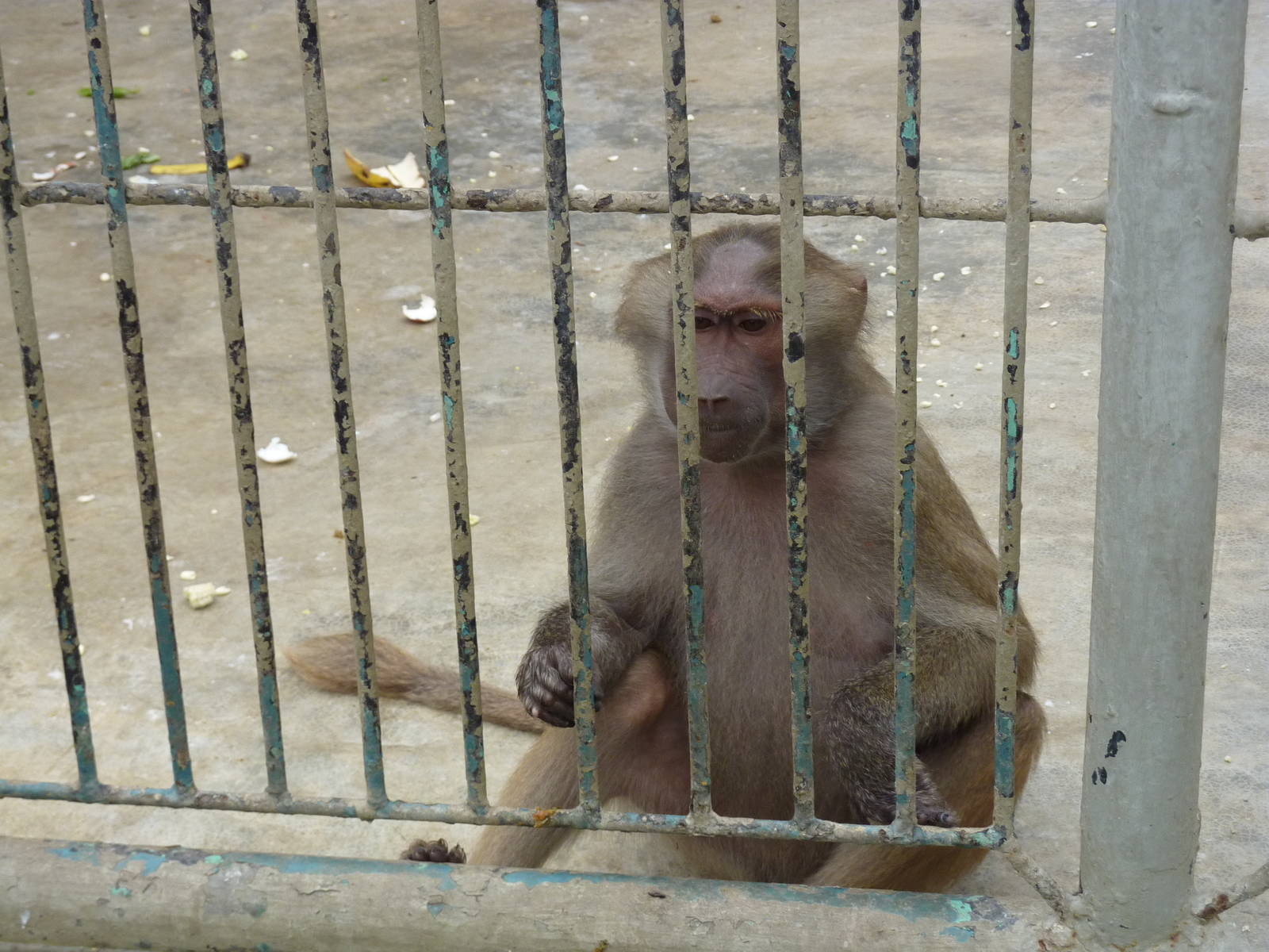 Watching the crutches