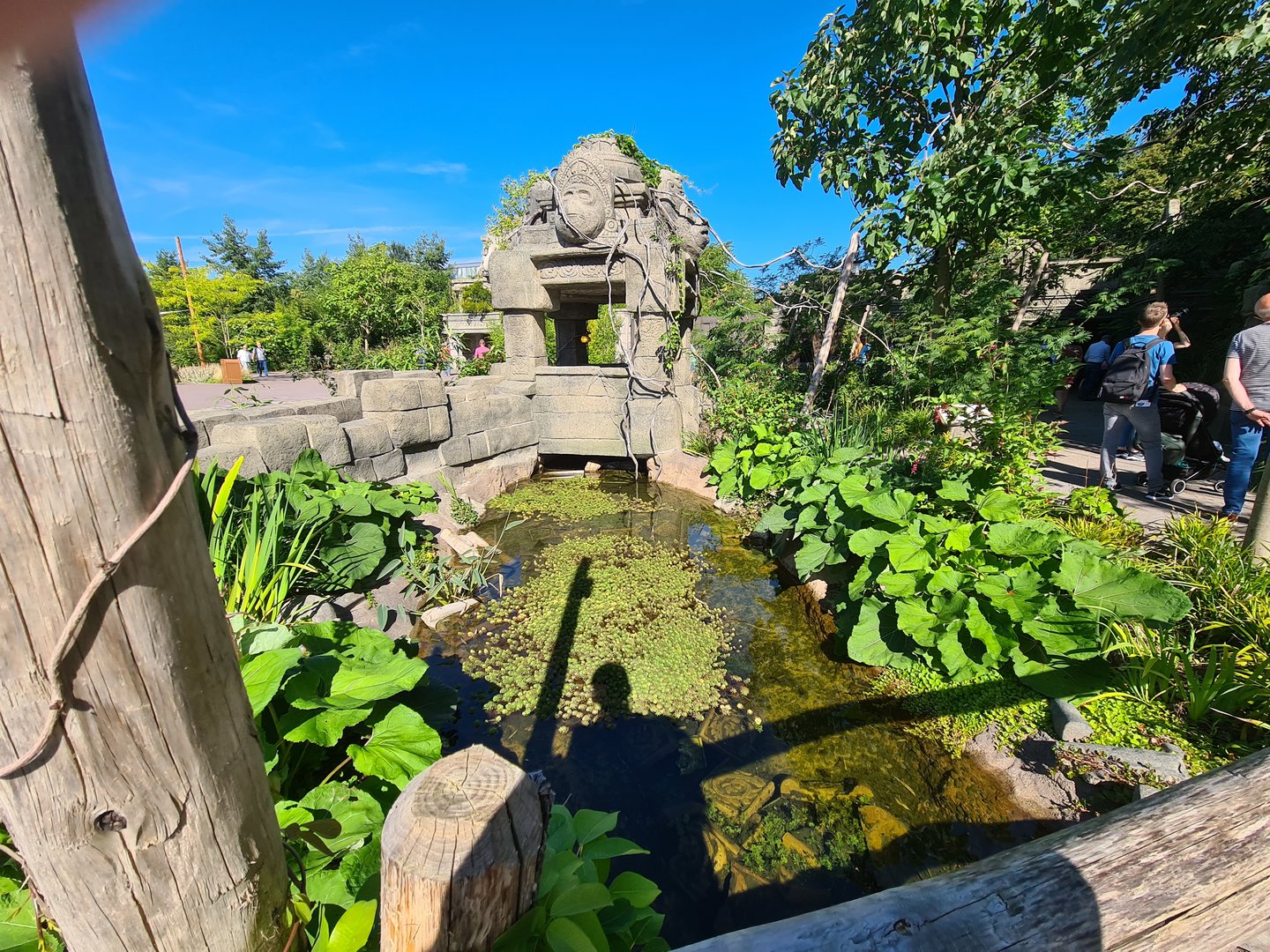 Water area in new Monkey ruins