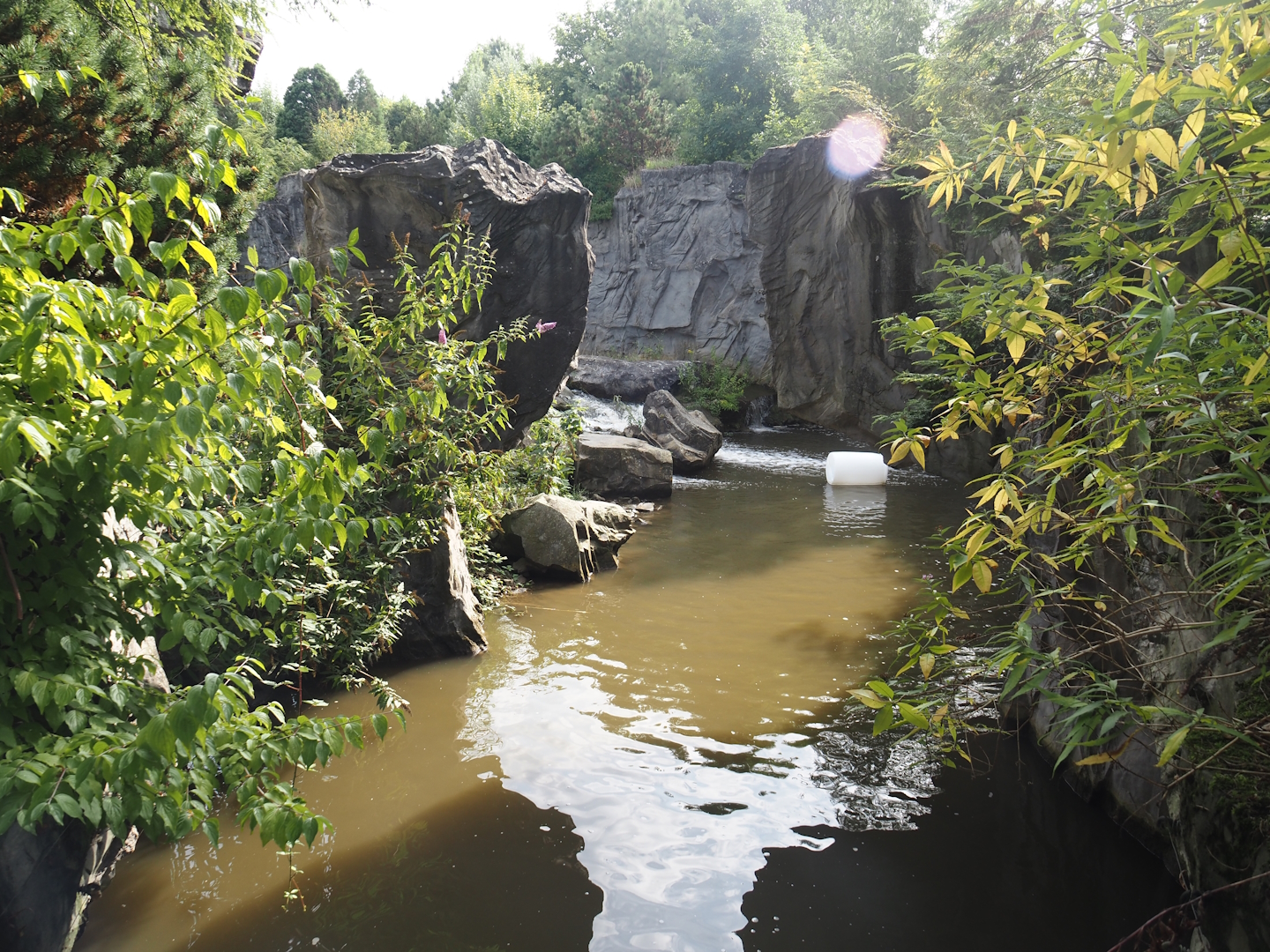 Water area in the Eurasian brown bear exhibit, 2024-08-05