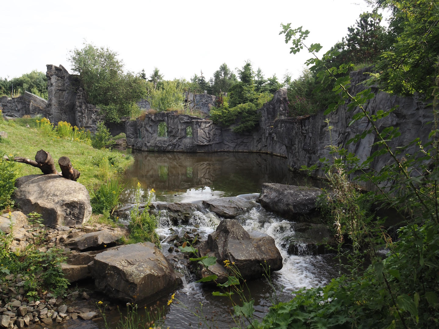 Water area in the Eurasian brown bear exhibit, 2024-08-05