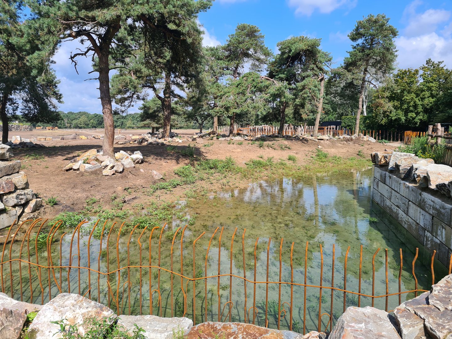 Water area in White rhinoceros separation