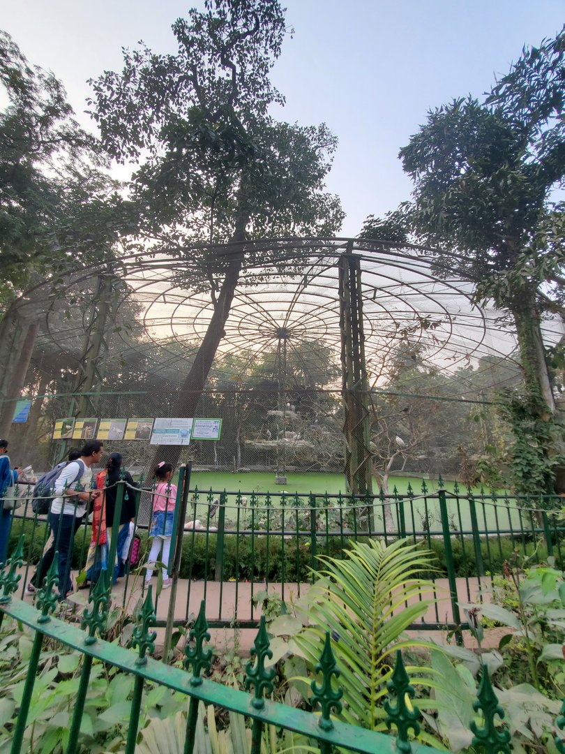 Water Bird Aviary - January 2023