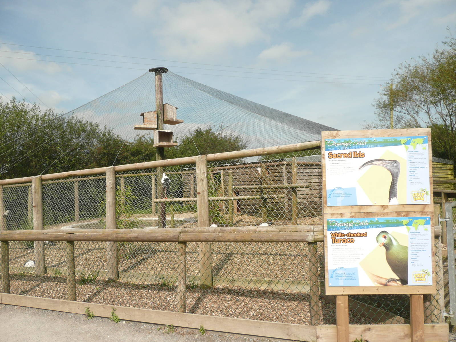 Water bird aviary