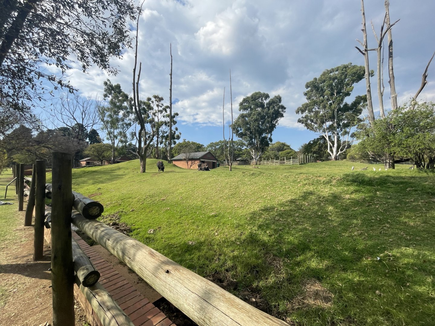 Water Buffalo and Blackbuck Enclosure (Bubalus bubalis)
