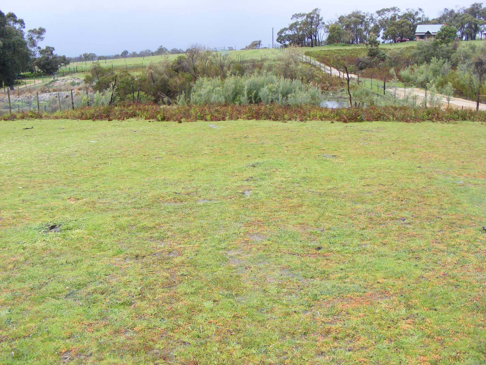 Water Buffalo Enclosure - September, 2009