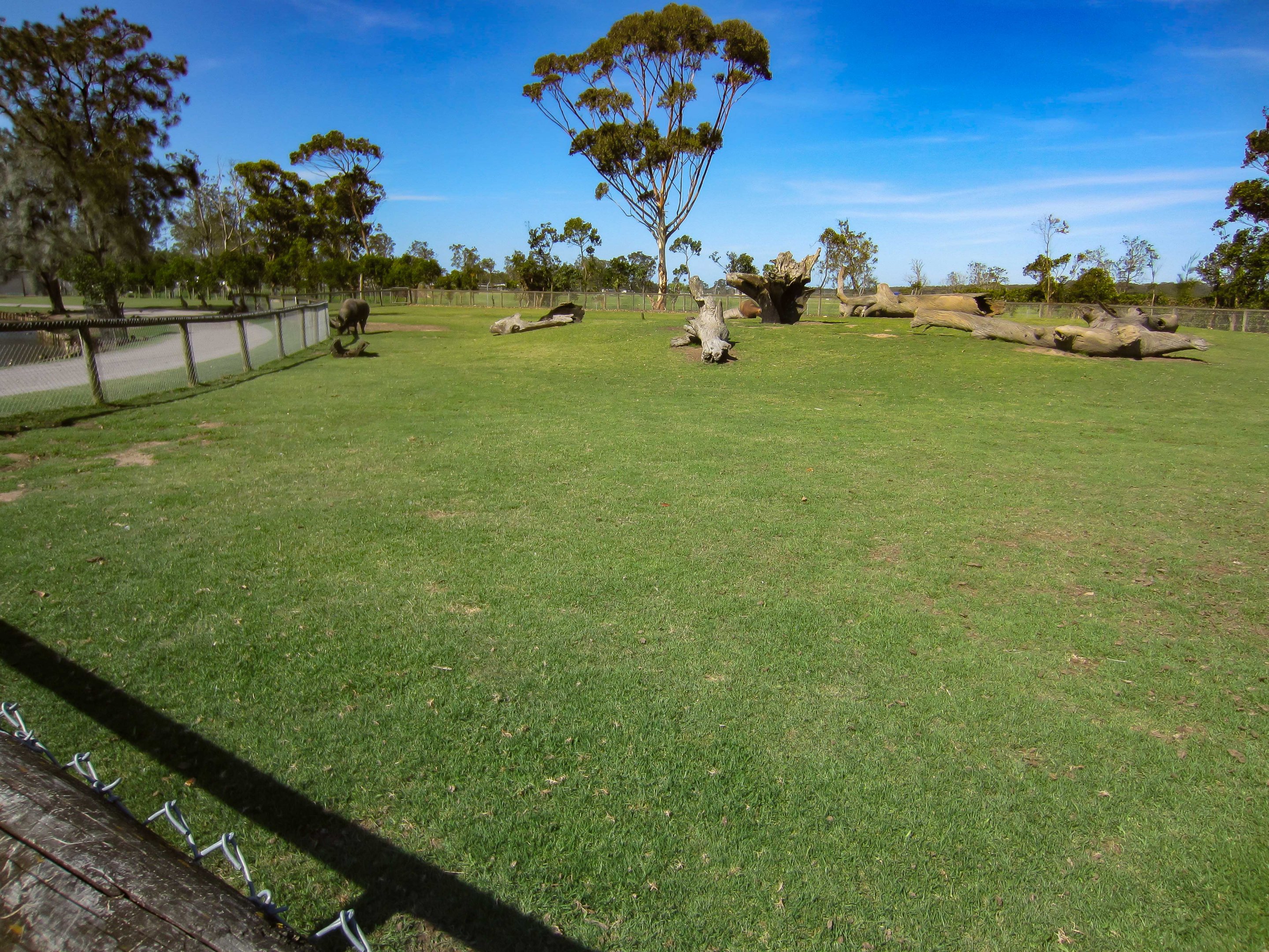 Water Buffalo enclosure