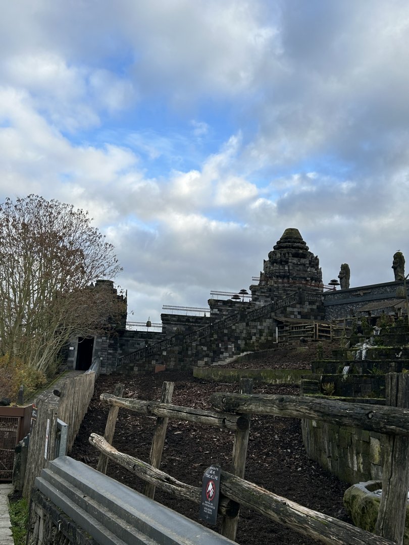 Water buffalo exhibit at the Kingdom of Ganesha