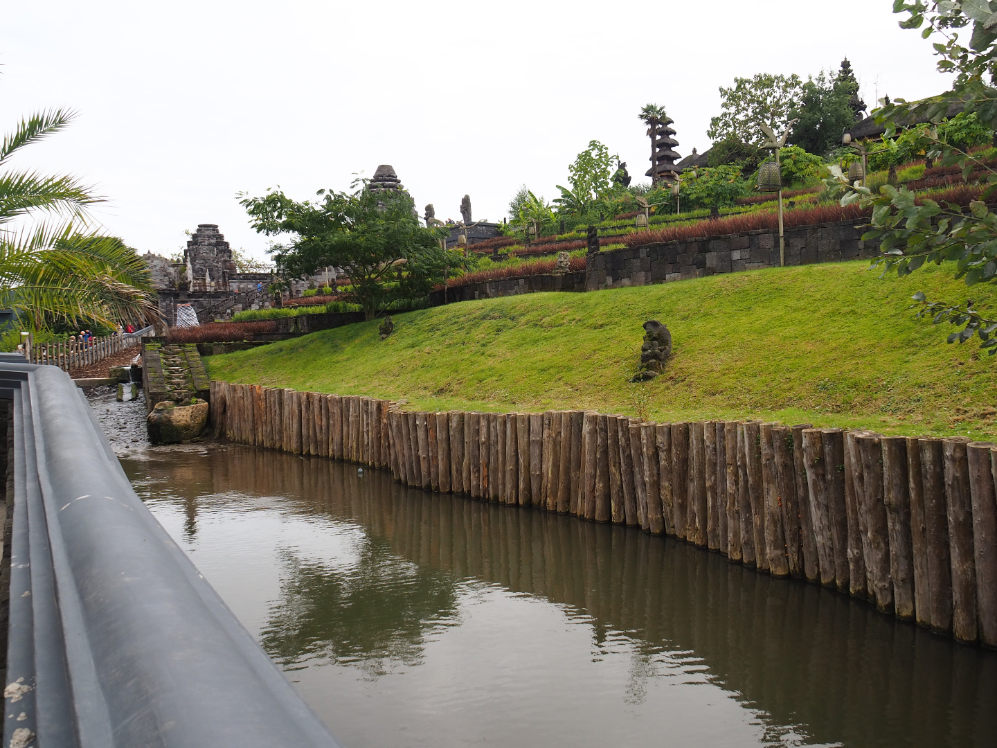 Water buffalo pool, 2019-10-04