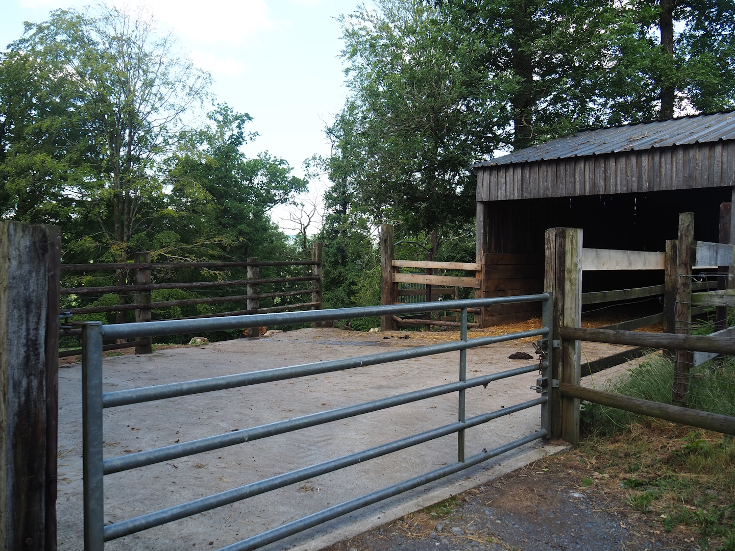 Water buffalo shelter and hardstand, 2023-06-24