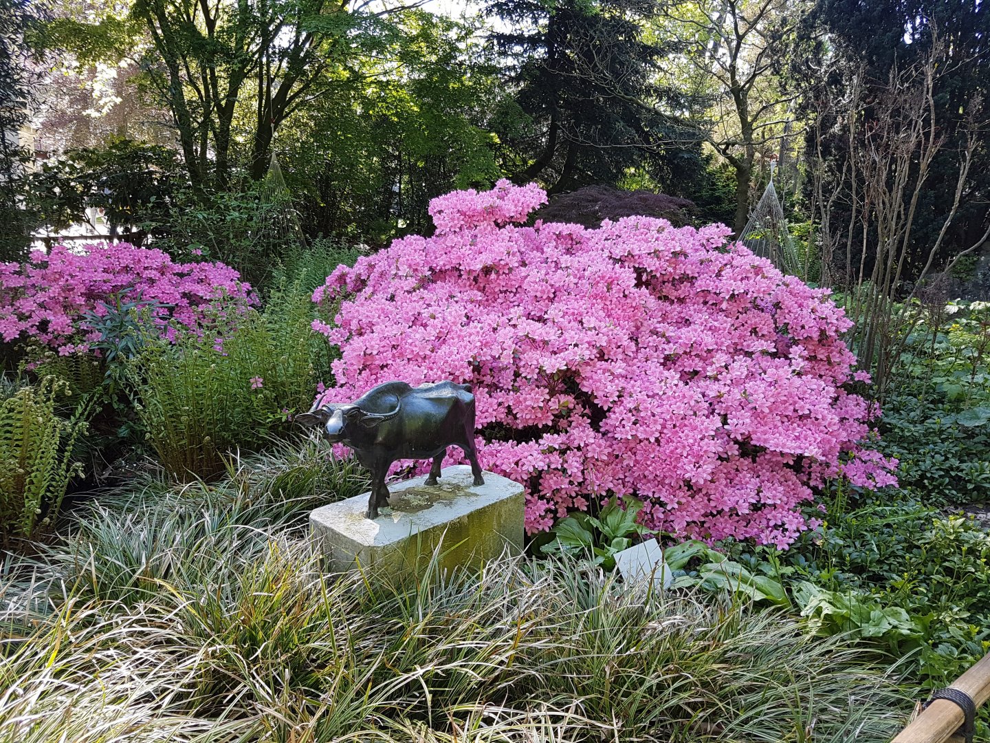 Water buffalo statue