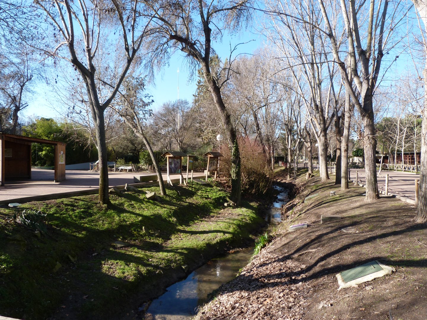 Water canal at the zoo -Zoo Aquarium de Madrid (2025)