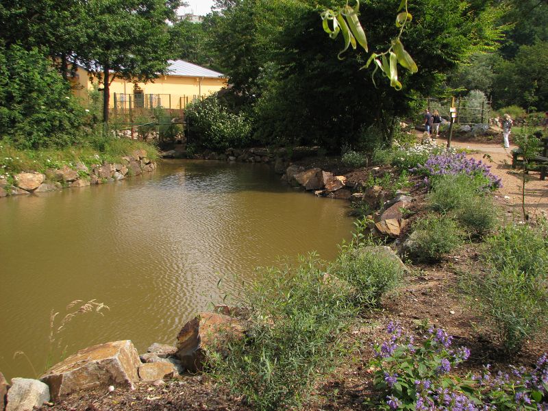 Water ditch around gibbon island