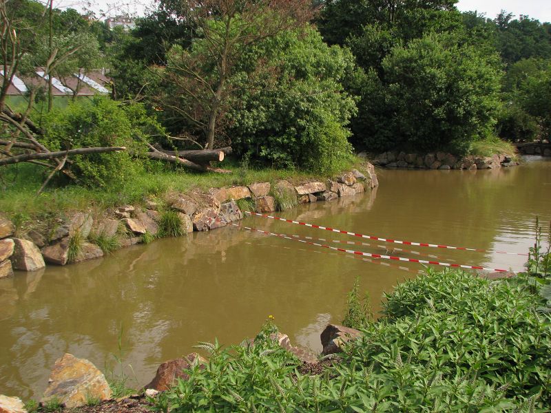 Water ditch around the lion-tailed macaque island