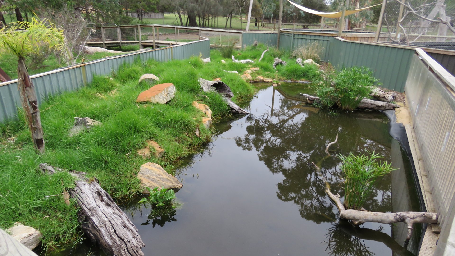 Water Dragon and Turtle Exhibit