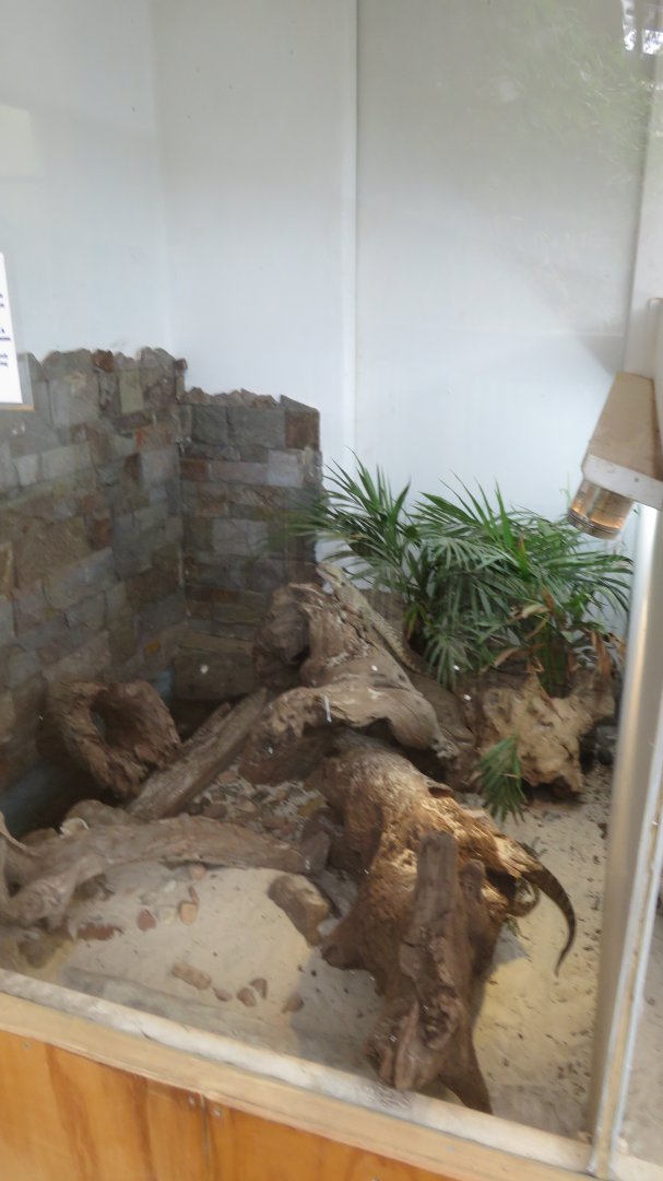 Water Dragon Enclosure