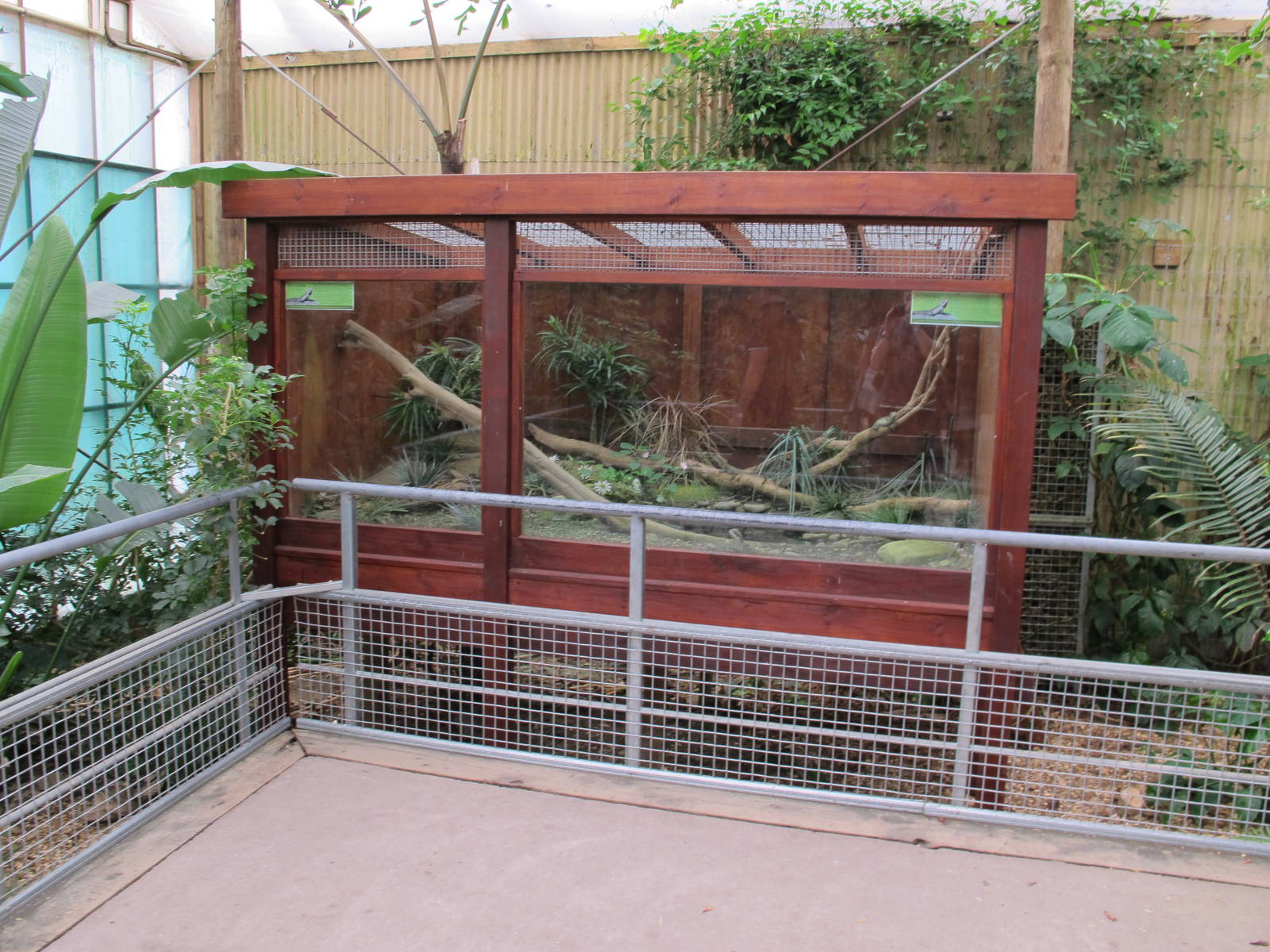 Water Dragon Exhibit - Butterfly Creek 2011