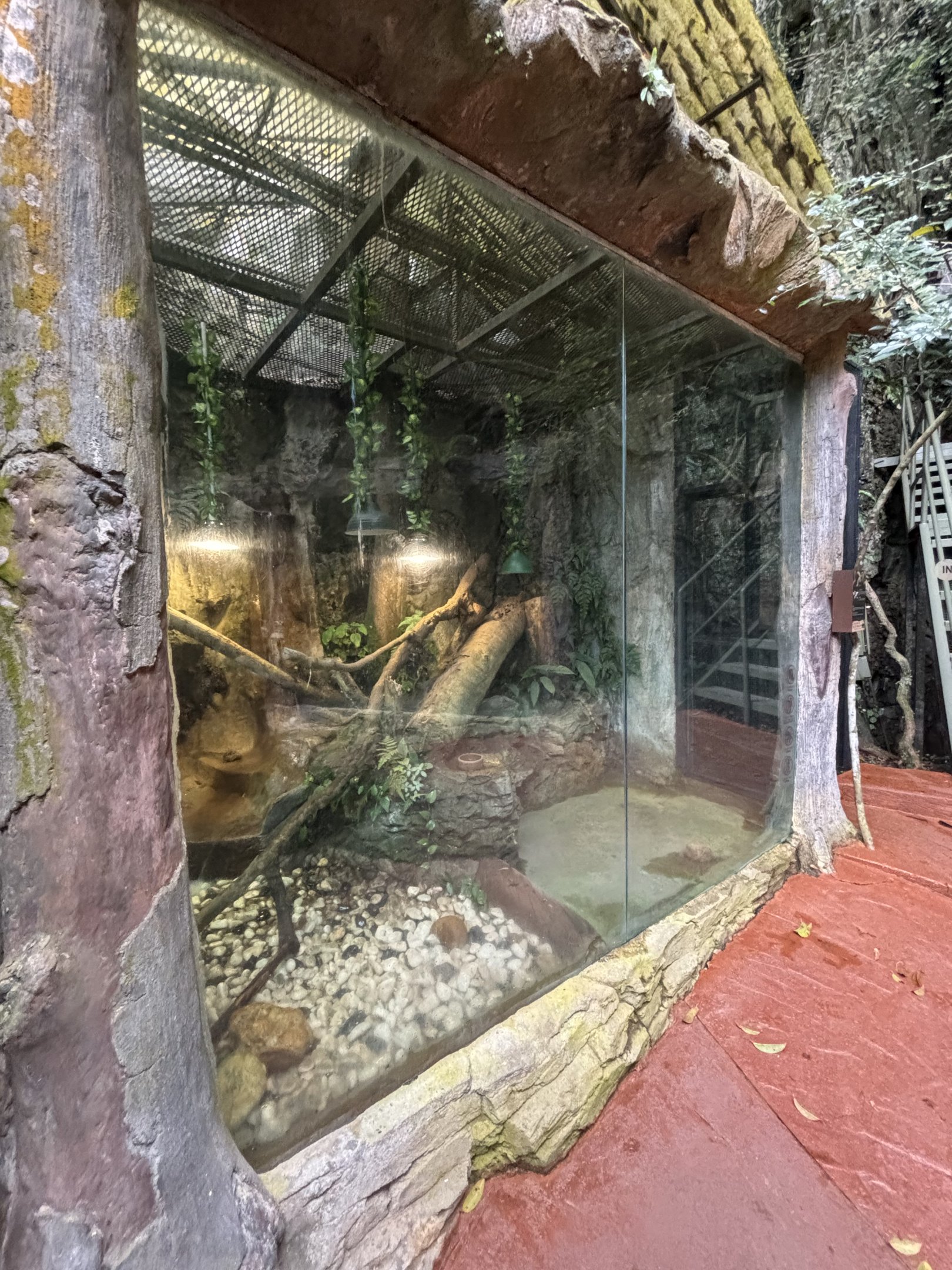 Water Dragon Exhibit - Lost World of Tambun