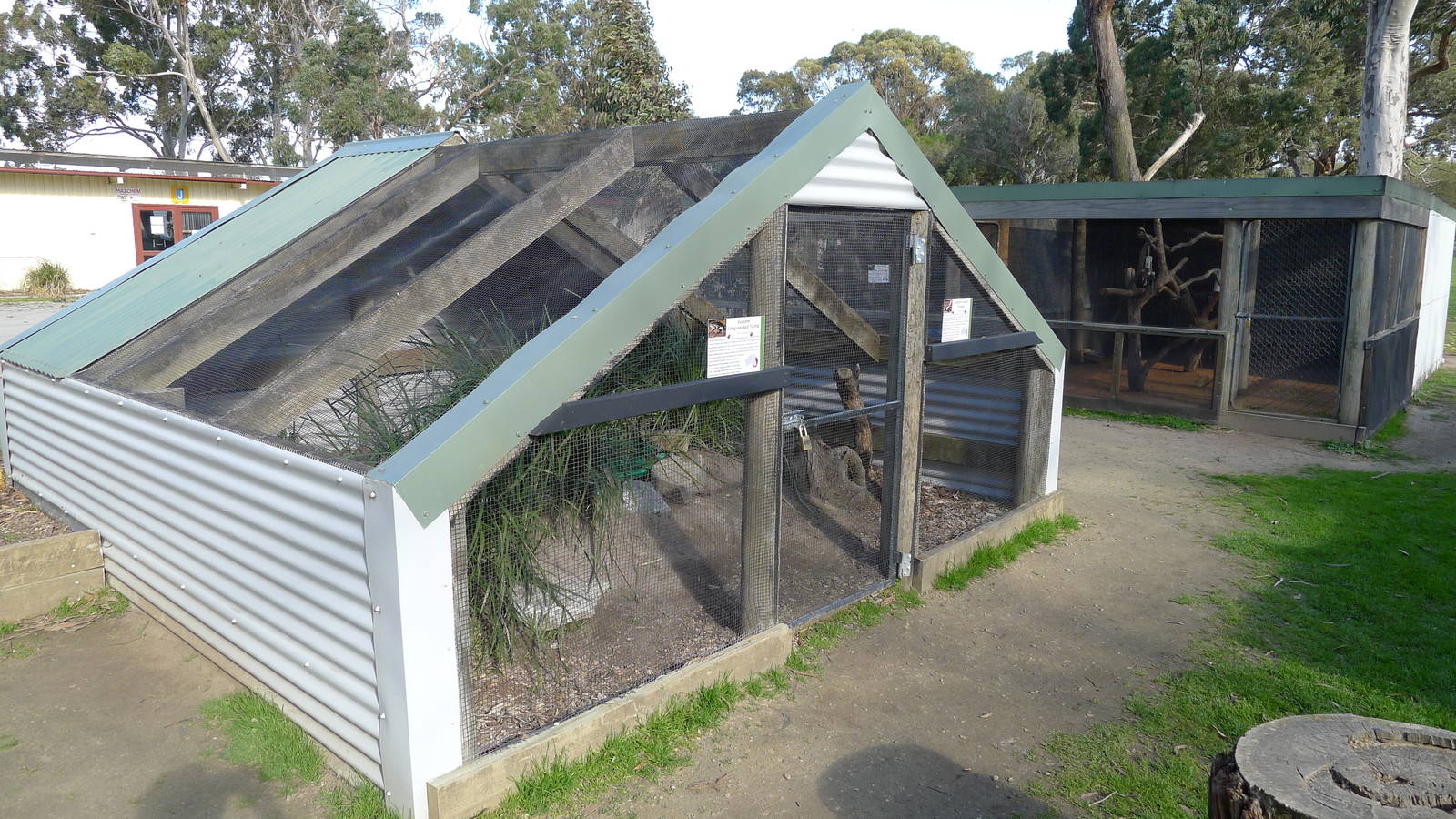 Water dragon & tortise enclosure
