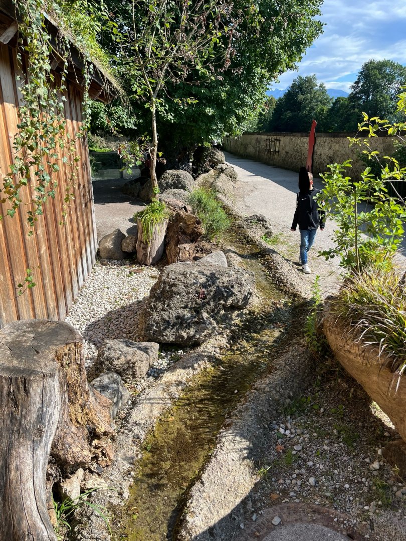 Water feature 13.7.25