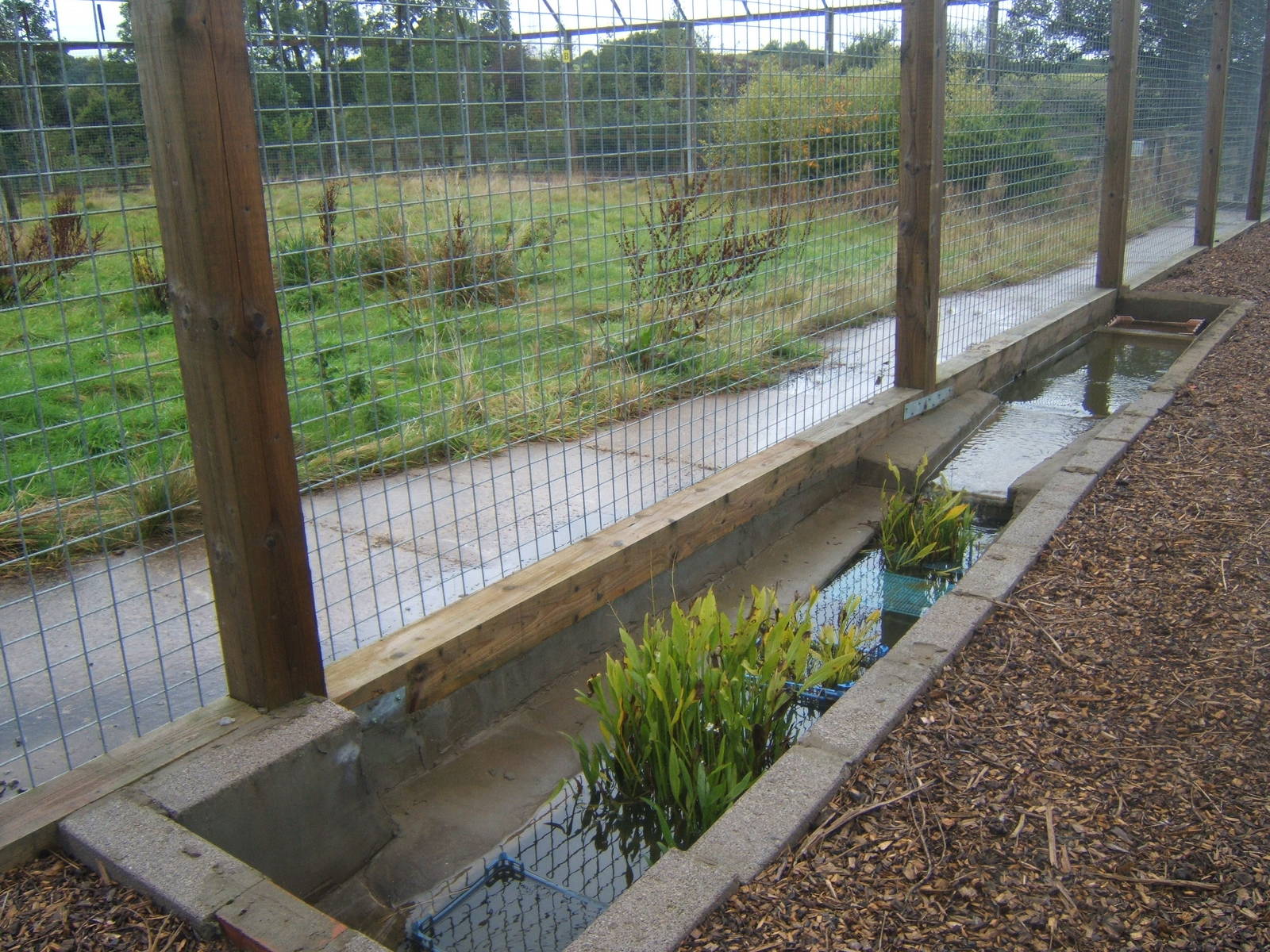 Water feature alongside the Big cat enclosures