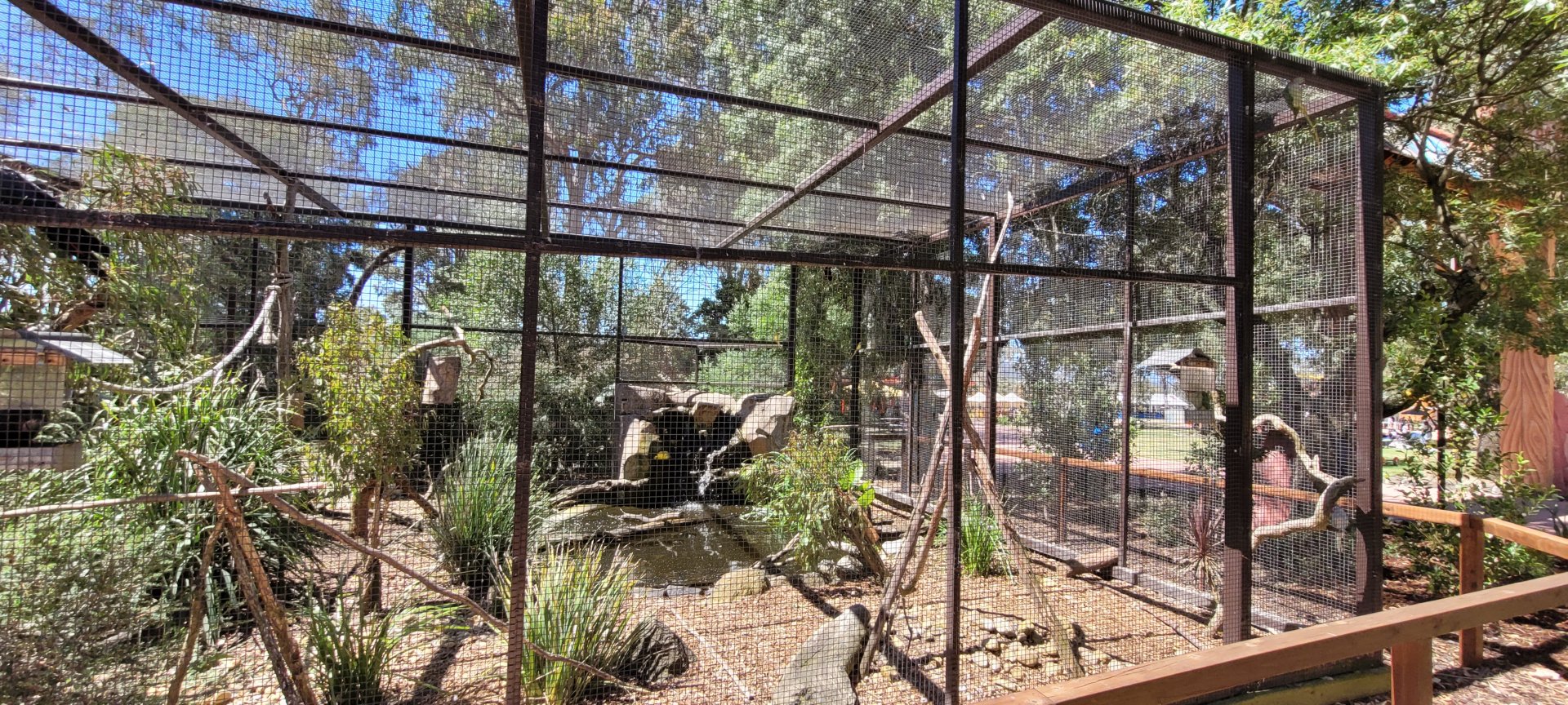Water feature in parrot aviary