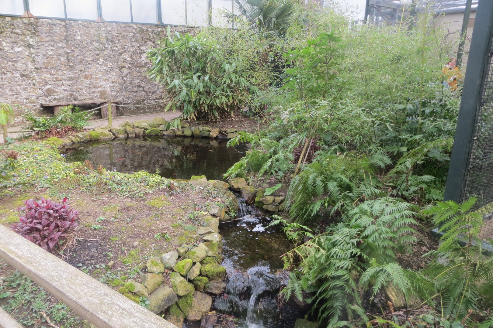 Water feature in Parrot Jungle area 190219