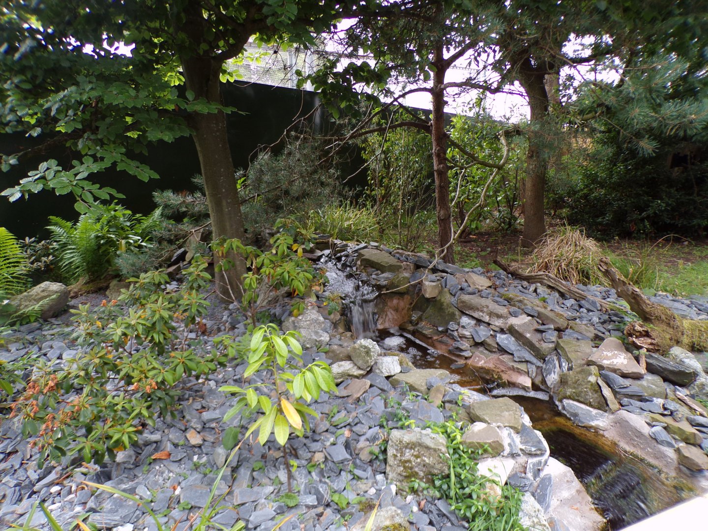 Water feature in red panda enclosure 29.6.24