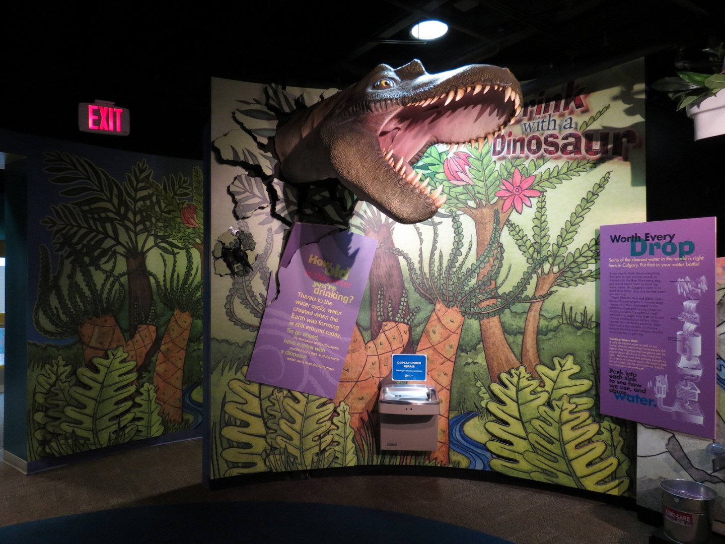 Water For Life Gallery