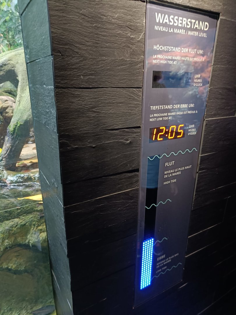 Water Level Display in the Mangrove Paludarium (Exotarium)